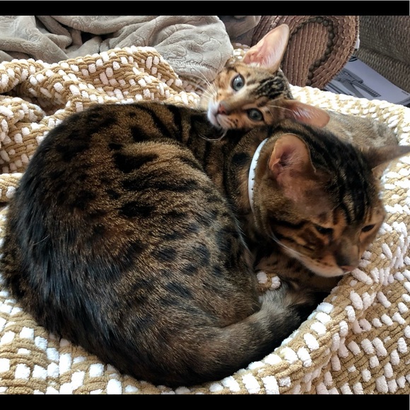 Meet Me #2!  Plz drop in to browseโฆ offerโฆ buyโฆ. askโฆ chatโฆ Nice to meet U! - Picture 3 of 15